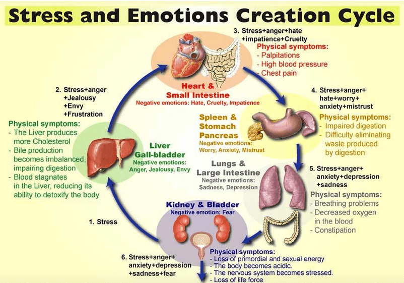 emotion-code-toss-that-emotional-baggage-zenmybrain